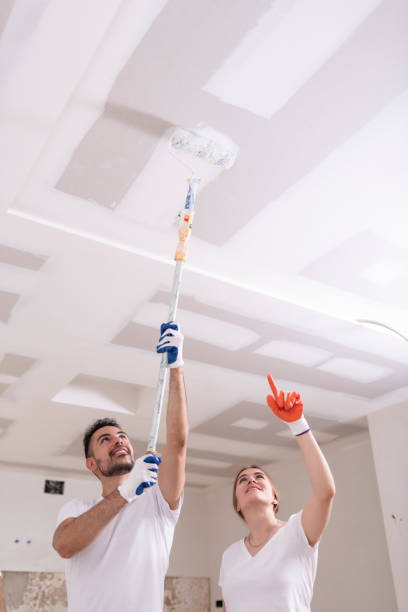 Best Mold Odor Removal Services  in Eagle Pass, TX