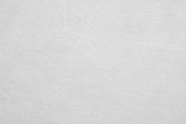 Best Black Mold Removal  in Eagle Pass, TX