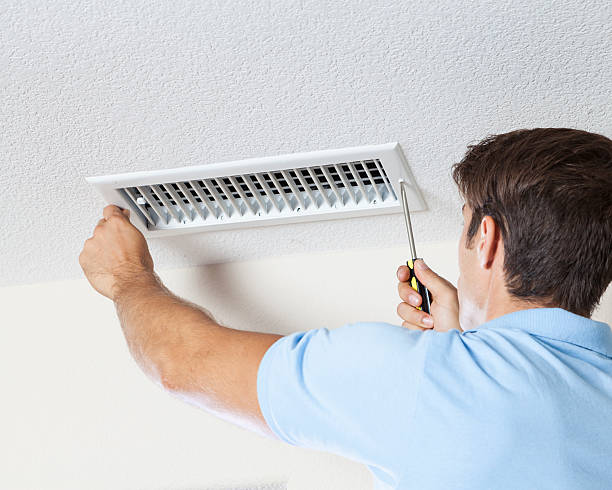 Best Attic Mold Removal  in Eagle Pass, TX