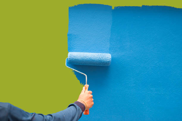Reliable Eagle Pass, TX Mold Removal Solutions
